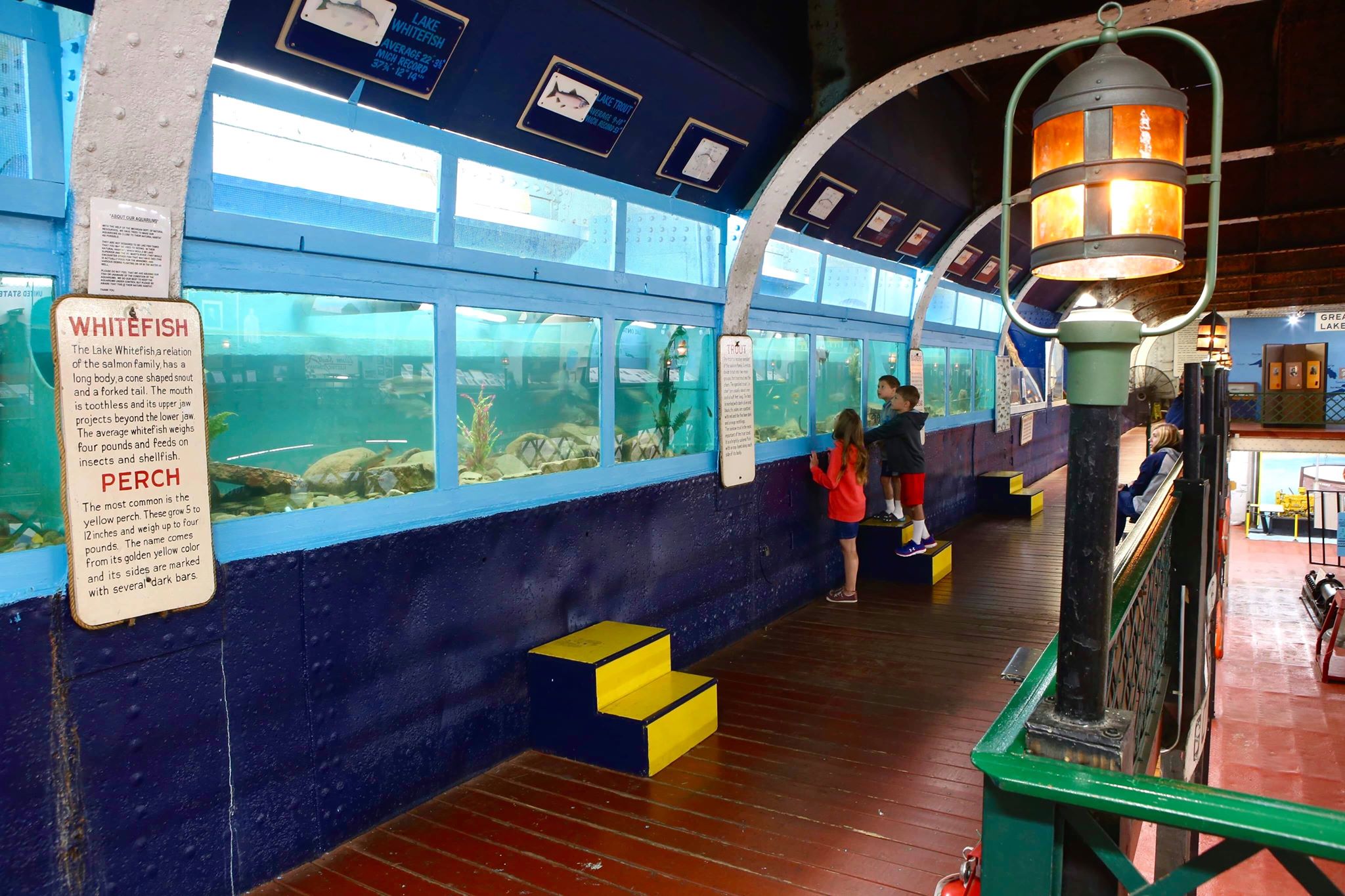 Kids Aquarium